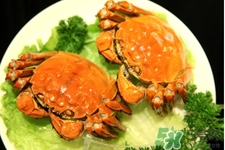 寶寶能吃螃蟹嗎？寶寶可以吃螃蟹肉嗎？