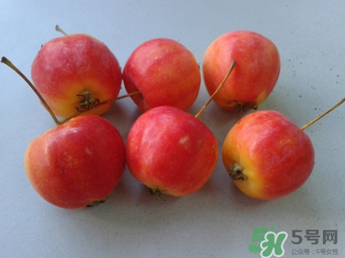 產(chǎn)婦能吃沙果嗎?產(chǎn)婦吃沙果好嗎 產(chǎn)婦能吃沙果嗎?產(chǎn)婦吃沙果好嗎