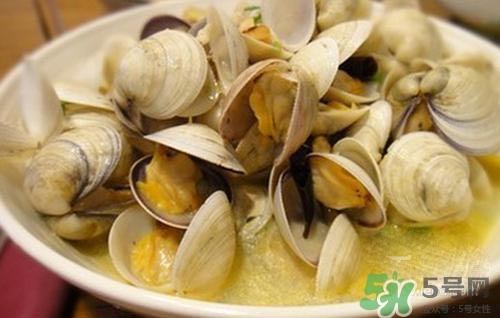 孕婦可以吃蛤蜊嗎？孕婦吃蛤蜊注意事項