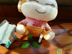 茱莉蔻玫瑰面膜怎么用？jurlique茱莉蔻玫瑰面膜使用方法