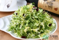 苦菊可以減肥嗎？苦菊怎么吃可以減肥？