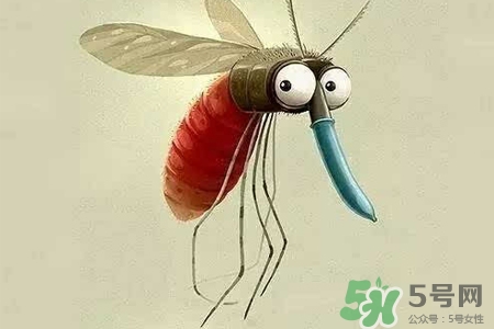 冬天為什么會有蚊子？冬天家里有蚊子怎么辦？