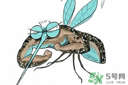 冬天為什么會有蚊子？冬天家里有蚊子怎么辦？