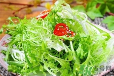 苦菊孕婦可以吃嗎?孕婦吃苦菊好嗎? 苦菊孕婦可以吃嗎?孕婦吃苦菊好嗎?