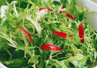 苦菊不能和什么一起吃？苦菊和什么一起吃好？