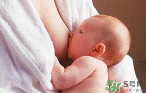 鹿茸可以下奶嗎?鹿茸下奶應該怎么吃