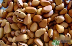 吃松子上火嗎？吃松子上火了怎么辦？