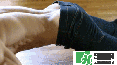 公狗腰什么意思?公狗腰鍛煉方法 公狗腰什么意思?公狗腰鍛煉方法