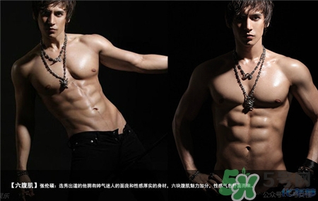 公狗腰什么意思?公狗腰鍛煉方法 公狗腰什么意思?公狗腰鍛煉方法