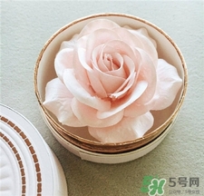 蘭蔻立體玫瑰花腮紅試色 蘭蔻玫瑰花高光試色 蘭蔻立體玫瑰花腮紅試色 蘭蔻玫瑰花高光試色