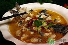 鮰魚的營養(yǎng)價值 鮰魚的功效與作用 鮰魚的營養(yǎng)價值 鮰魚的功效與作用