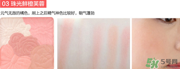 canmake花瓣腮紅珠光還是啞光好？canmake腮紅珠光好看還是啞光？
