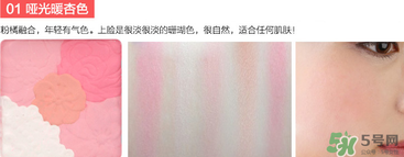 canmake花瓣腮紅珠光還是啞光好？canmake腮紅珠光好看還是啞光？