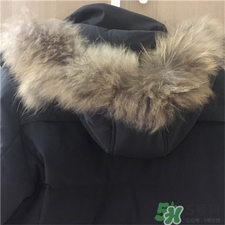 南極人羽絨服質量怎么樣?南極人羽絨服好嗎? 南極人羽絨服質量怎么樣?南極人羽絨服好嗎?