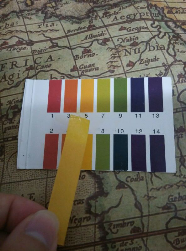 秀雅韓真生精華乳怎么樣？秀雅韓真生精華乳用法