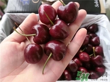 車(chē)?yán)遄釉趺聪床鸥蓛?車(chē)?yán)遄釉趺辞逑?