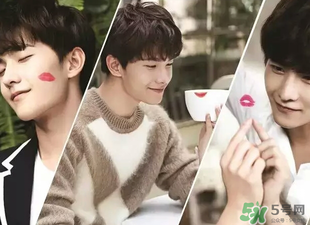 嬌蘭344和325哪個好看？嬌蘭344和325對比