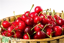 車?yán)遄拥臓I養(yǎng)價(jià)值 車?yán)遄拥墓πc作用 車?yán)遄拥臓I養(yǎng)價(jià)值 車?yán)遄拥墓πc作用