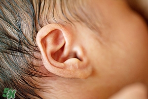 油耳朵就一定有狐臭嗎?寶寶油耳朵會是狐臭嗎?