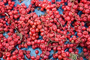 五味子茶韓國(guó)怎么喝？五味子茶的五種味道代表什么？