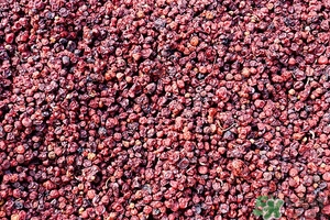 五味子茶韓國(guó)怎么喝？五味子茶的五種味道代表什么？