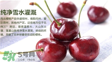 車(chē)?yán)遄幽芎团Ｄ桃黄鸪詥?車(chē)?yán)遄雍团Ｄ桃黄鸪院脝?