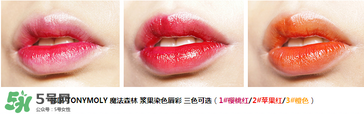 魔法森林染唇液試色 魔法森林染唇液色號 魔法森林染唇液試色 魔法森林染唇液色號