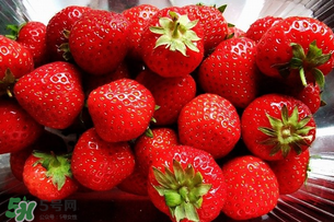 冬天有草莓嗎？冬天的草莓能吃嗎？