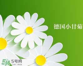 賀本清護手霜鐵盒真假 德國herbacin鐵盒小甘菊護手霜真假 賀本清護手霜鐵盒真假 德國herbacin鐵盒小甘菊護手霜真假