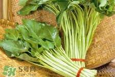 冬天可以吃空心菜嗎？冬天排毒多吃空心菜