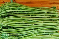 冬天可以吃空心菜嗎？冬天排毒多吃空心菜