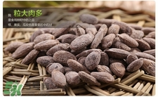 吊瓜子的營養(yǎng)價值 吊瓜子的功效與作用 吊瓜子的營養(yǎng)價值 吊瓜子的功效與作用