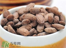 吊瓜子的營養(yǎng)價值 吊瓜子的功效與作用 吊瓜子的營養(yǎng)價值 吊瓜子的功效與作用