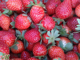 孕婦冬天能吃草莓嗎？孕婦冬天吃草莓好嗎？