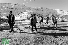 冬天怕冷吃什么好？冬天怕冷吃什么食物？