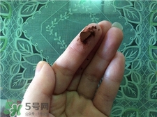 修正破壁靈芝孢子粉怎么樣?有效嗎? 修正破壁靈芝孢子粉怎么樣?有效嗎?