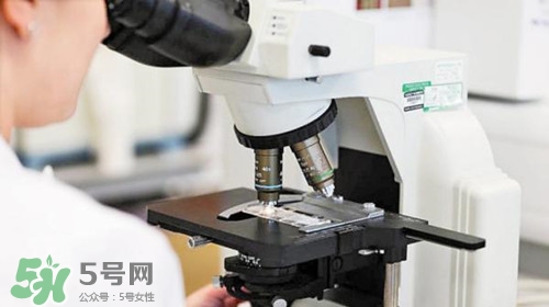 肝癌最多能活多長時間?肝癌早期治愈嗎 肝癌最多能活多長時間?肝癌早期治愈嗎