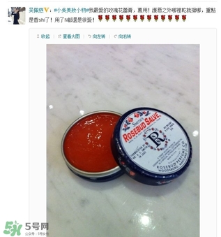 史密斯花蕾膏怎么用？史密斯花蕾膏使用方法