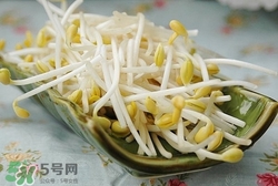 孕婦可以吃黃豆芽嗎?孕婦吃黃豆芽的好處 孕婦可以吃黃豆芽嗎?孕婦吃黃豆芽的好處