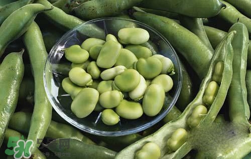 蠶豆糖尿病人可以吃嗎？糖尿病可以吃蠶豆嗎？