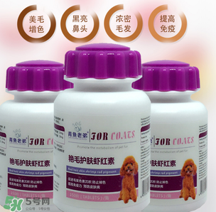 泰迪吃蝦紅素好嗎？蝦紅素的功效與作用