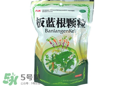 冬天喝板藍根好嗎？板藍根的功效與作用