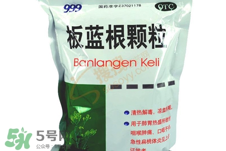冬天喝板藍根好嗎？板藍根的功效與作用