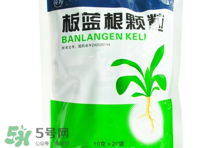 板藍根能天天喝嗎？板藍根可以經(jīng)常喝嗎？