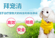 拜寵清要怎么喂？拜寵清驅(qū)蟲(chóng)藥說(shuō)明書
