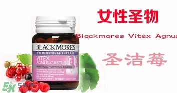 圣潔莓月經(jīng)期間可以吃嗎？圣潔莓不適人群