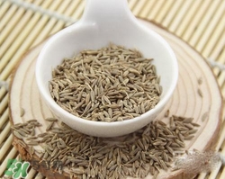 小茴香是孜然嗎？小茴香和孜然的區(qū)別