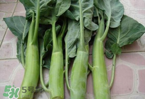 芥藍(lán)葉子能吃嗎?芥藍(lán)葉子怎么做好吃 芥藍(lán)葉子能吃嗎?芥藍(lán)葉子怎么做好吃