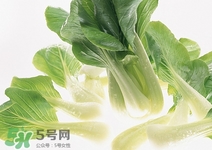 小白菜可以生吃嗎?小白菜生吃好嗎 小白菜可以生吃嗎?小白菜生吃好嗎