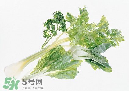 小白菜可以生吃嗎?小白菜生吃好嗎 小白菜可以生吃嗎?小白菜生吃好嗎